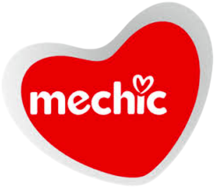 Mechic