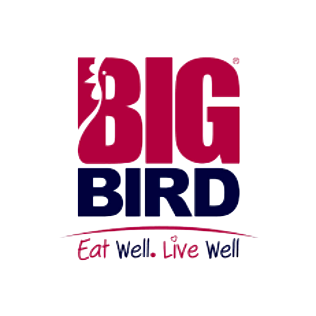 Big Bird-Photoroom